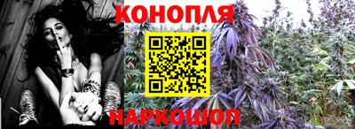 марихуана Краснознаменск